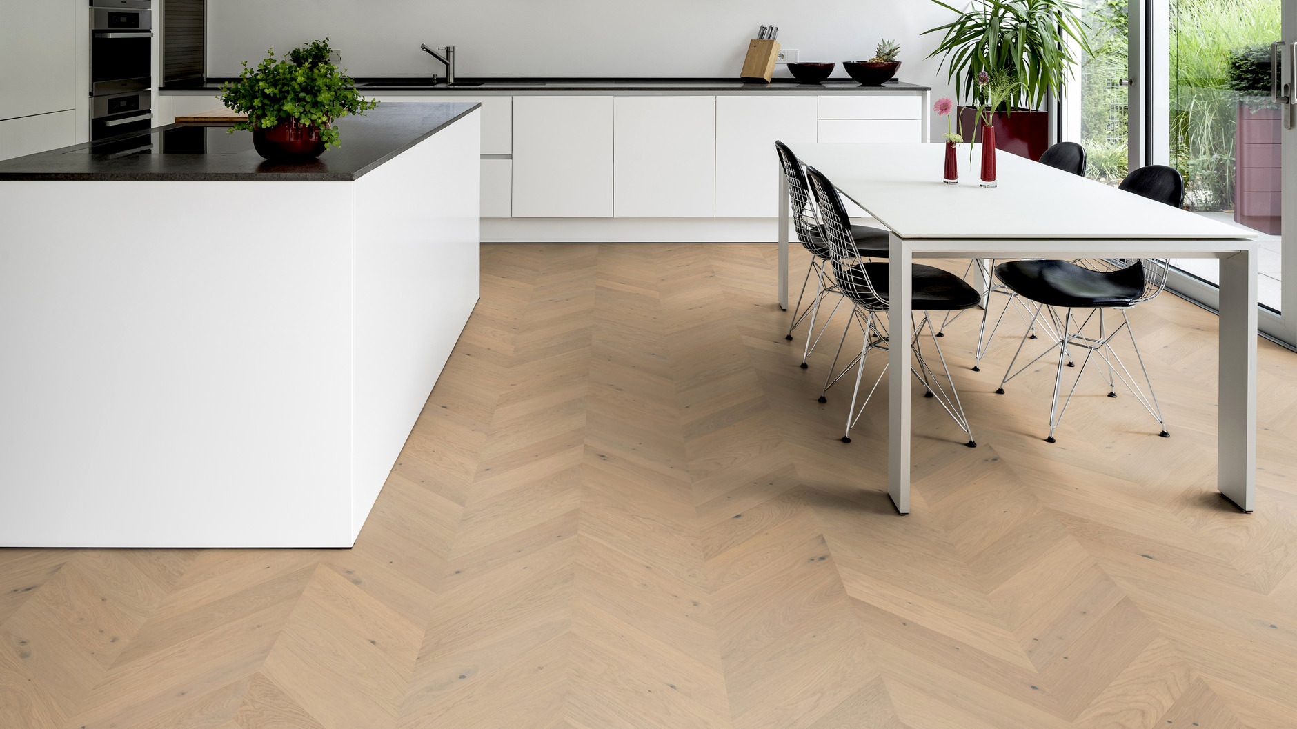 Chêne Het Zand Chêne Het Zand