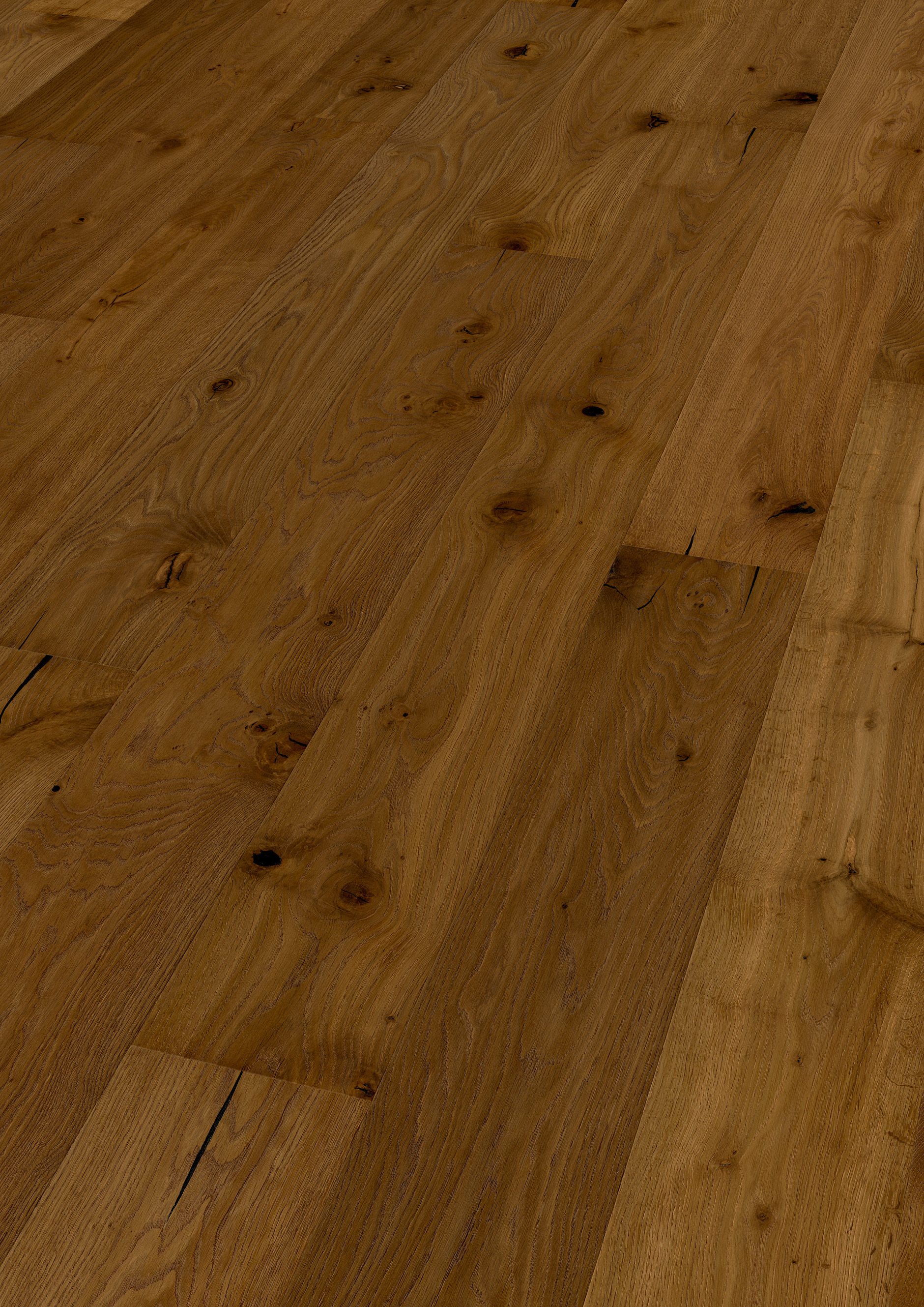 Oak No.29 - Blackdown Hills