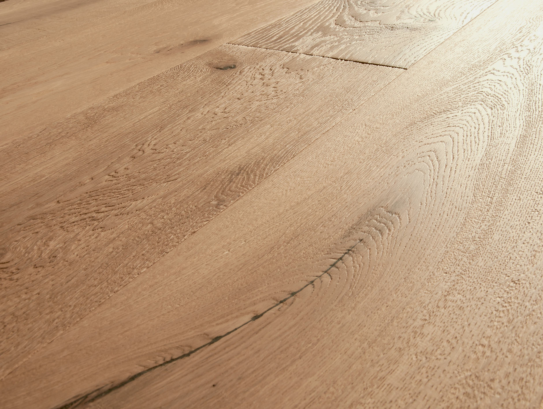 Oak No.2 - Cornwall
