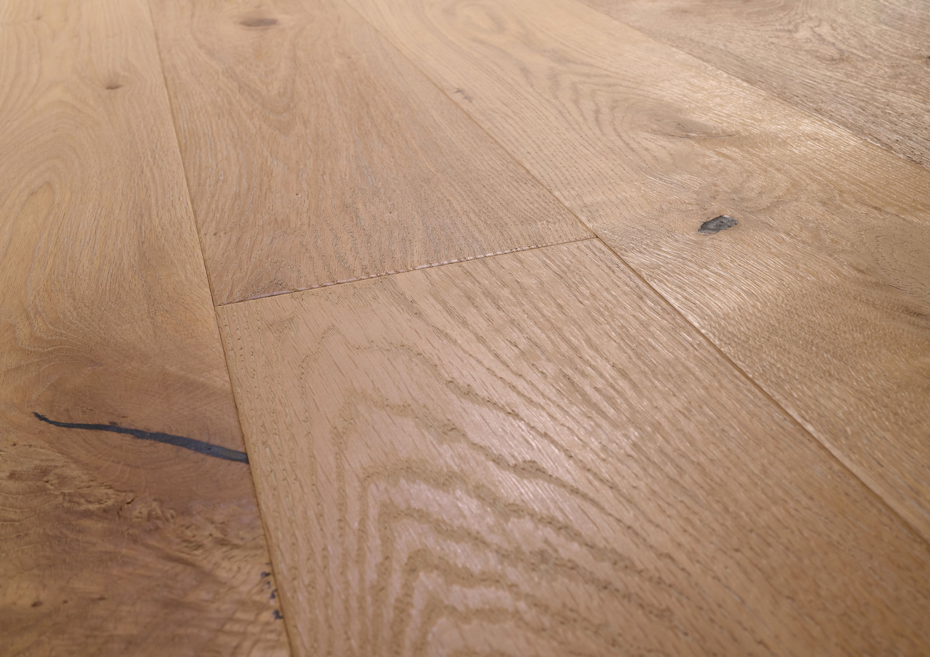 Oak No.12 - Lancaster