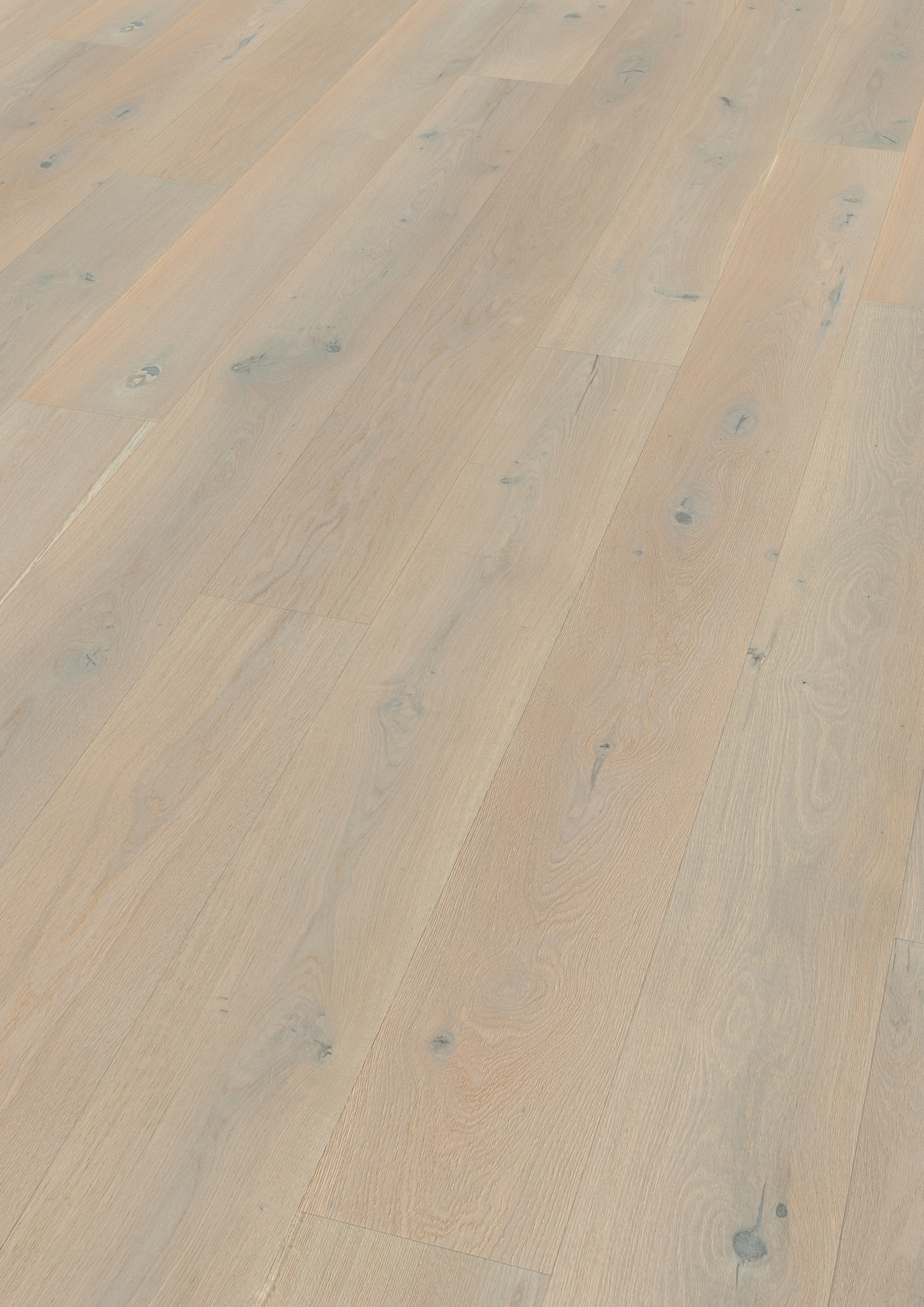 Oak Het Zand