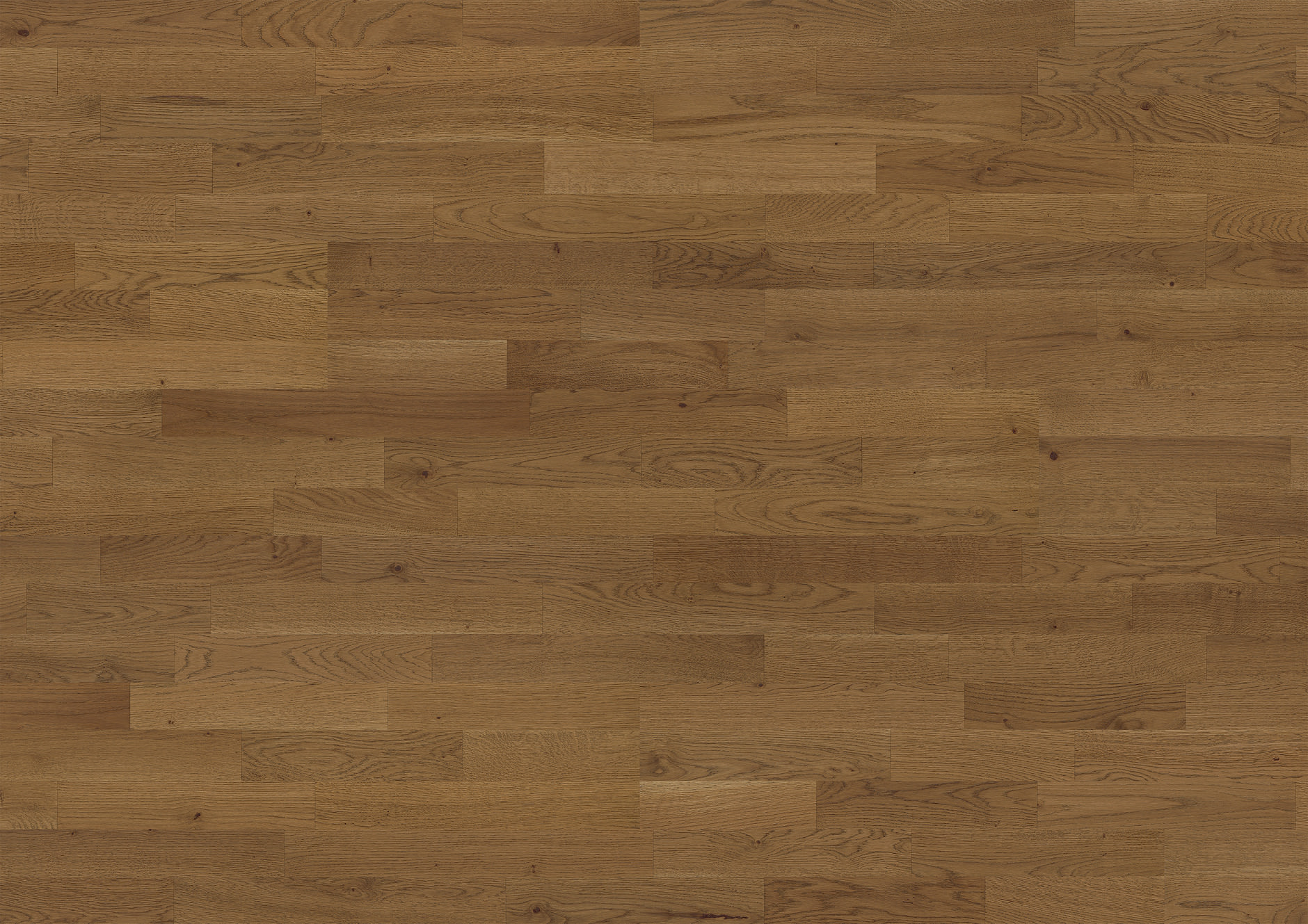 Oak Haga