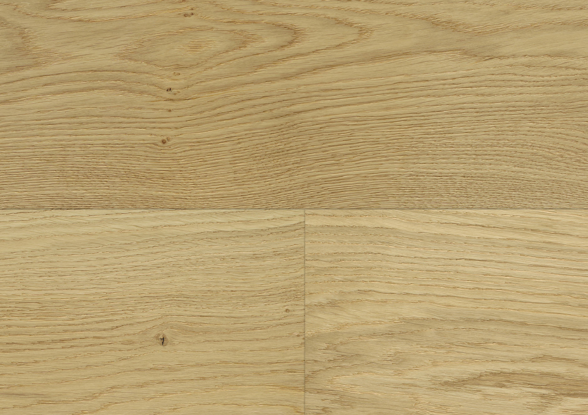 Oak No.33 - Clarence