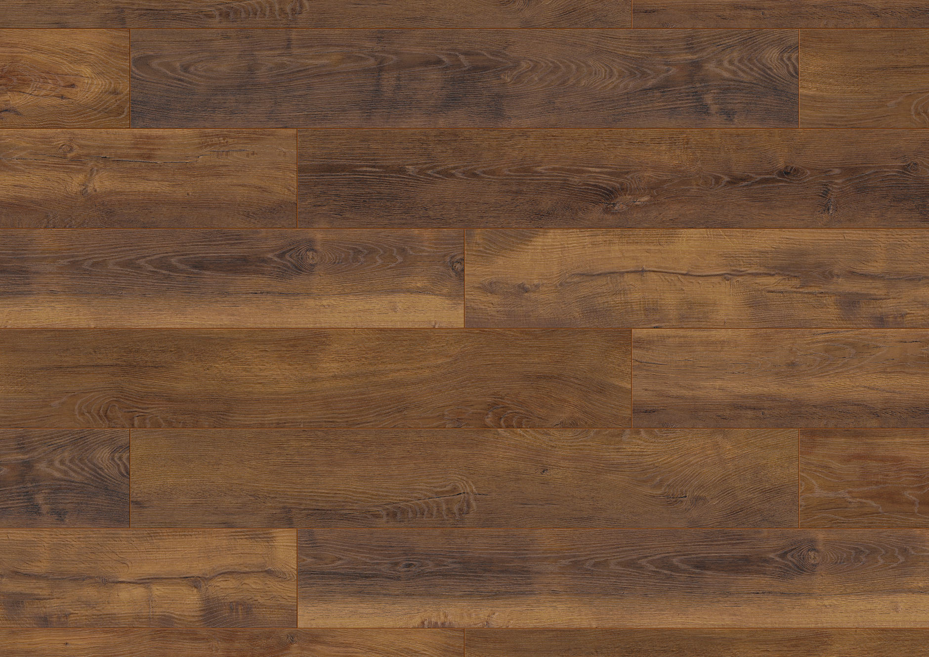 Oak Jamaica Oak Jamaica