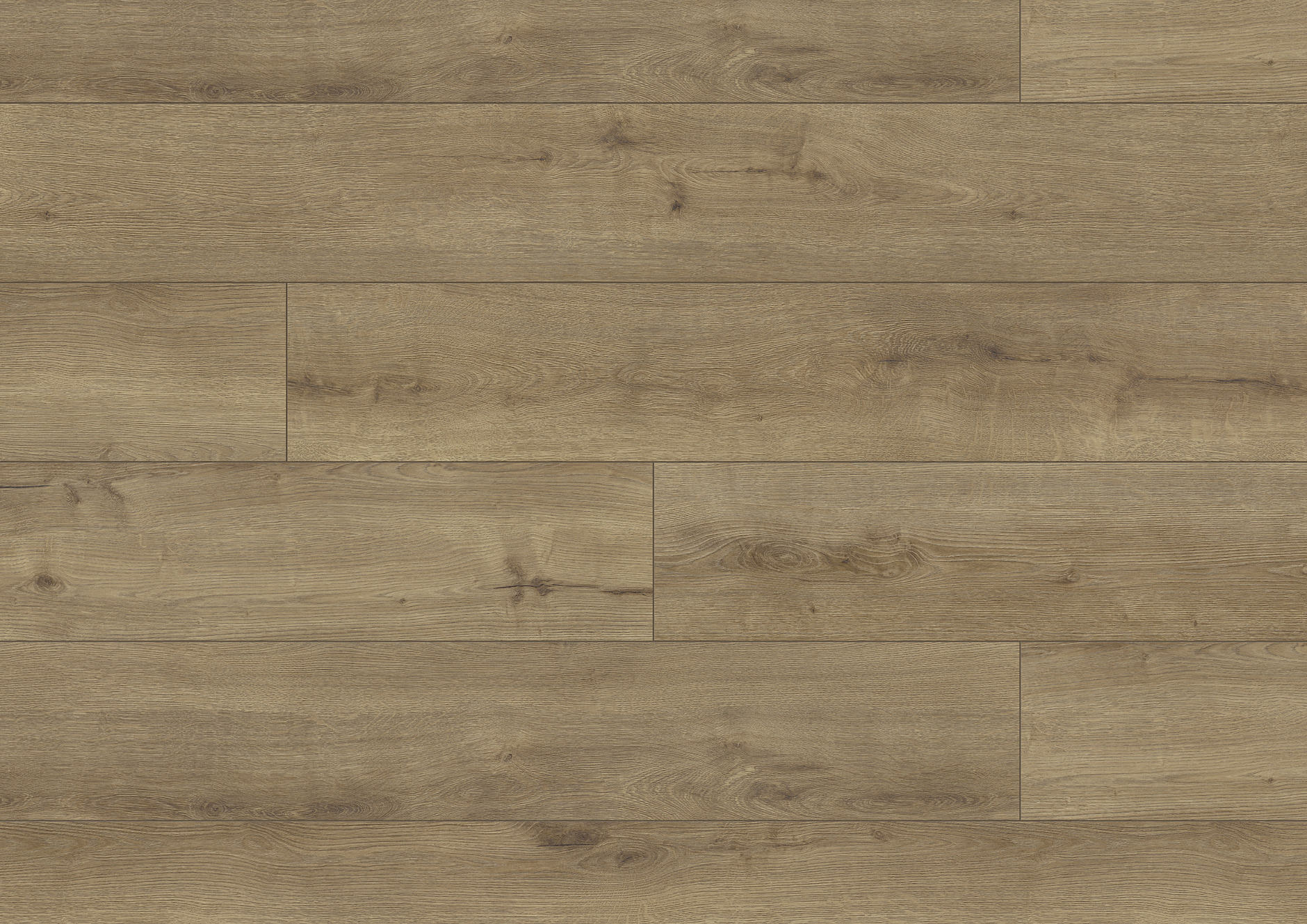 Chêne Capri Chêne Capri