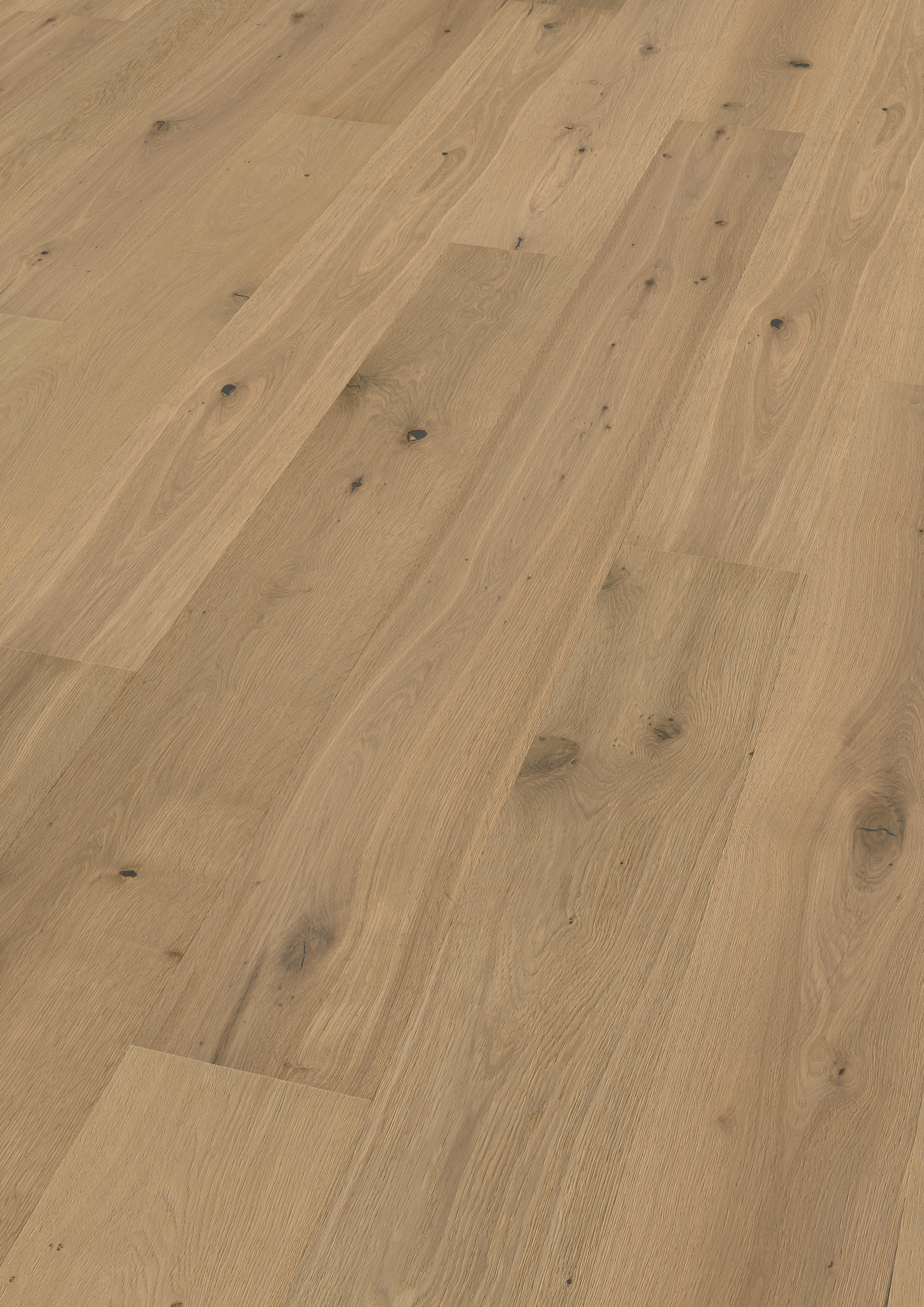 Oak No.26 - Bath