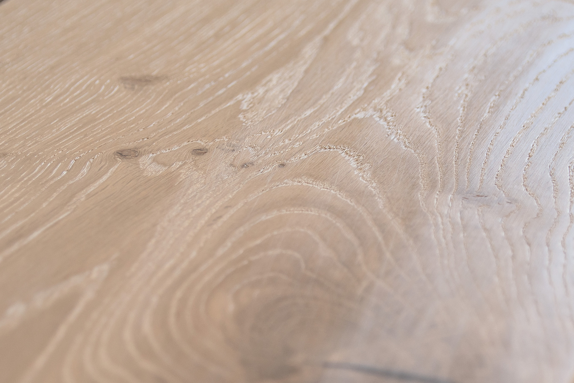 Oak No.18 - Balmoral