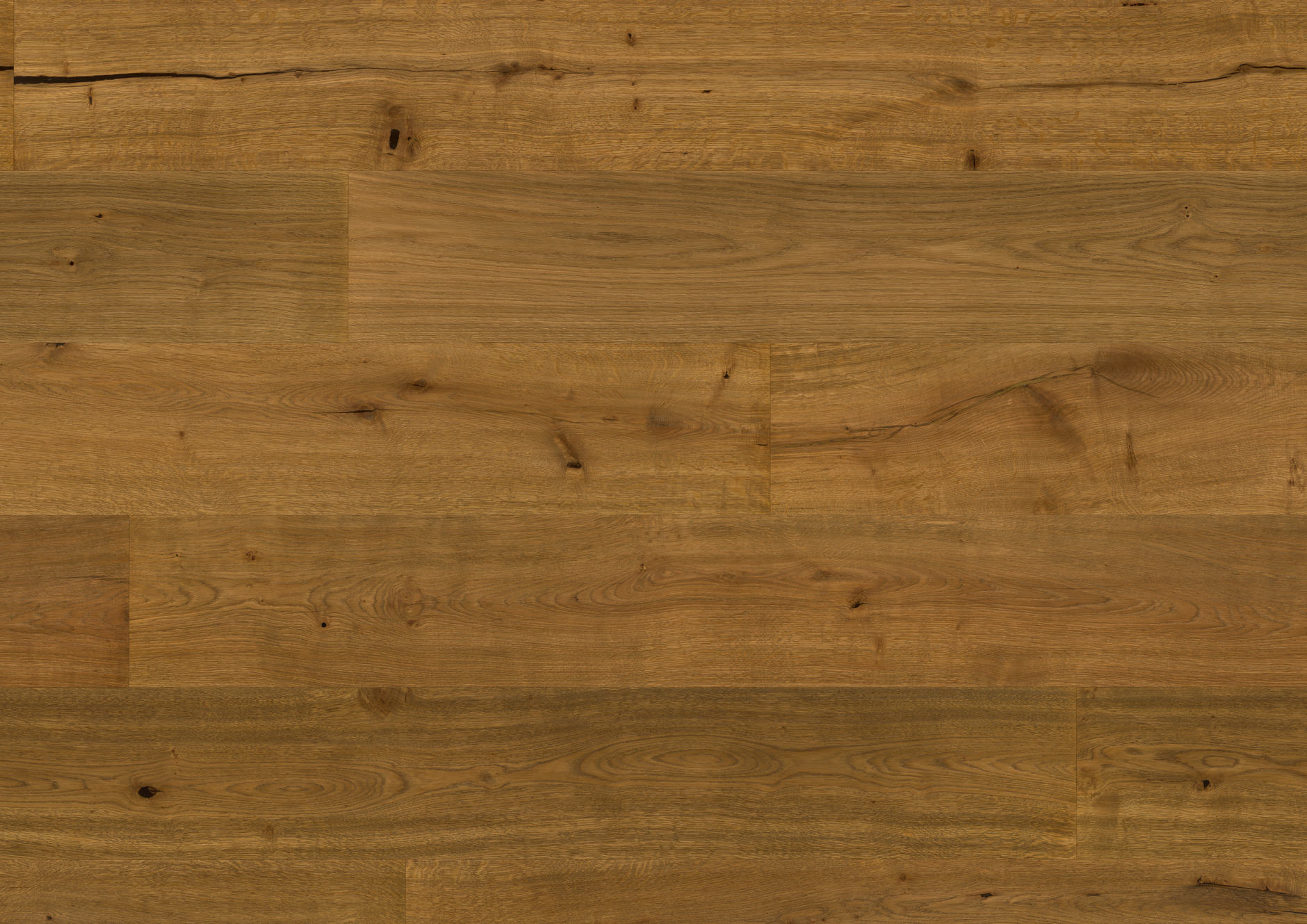 Oak No.17 - Blenheim