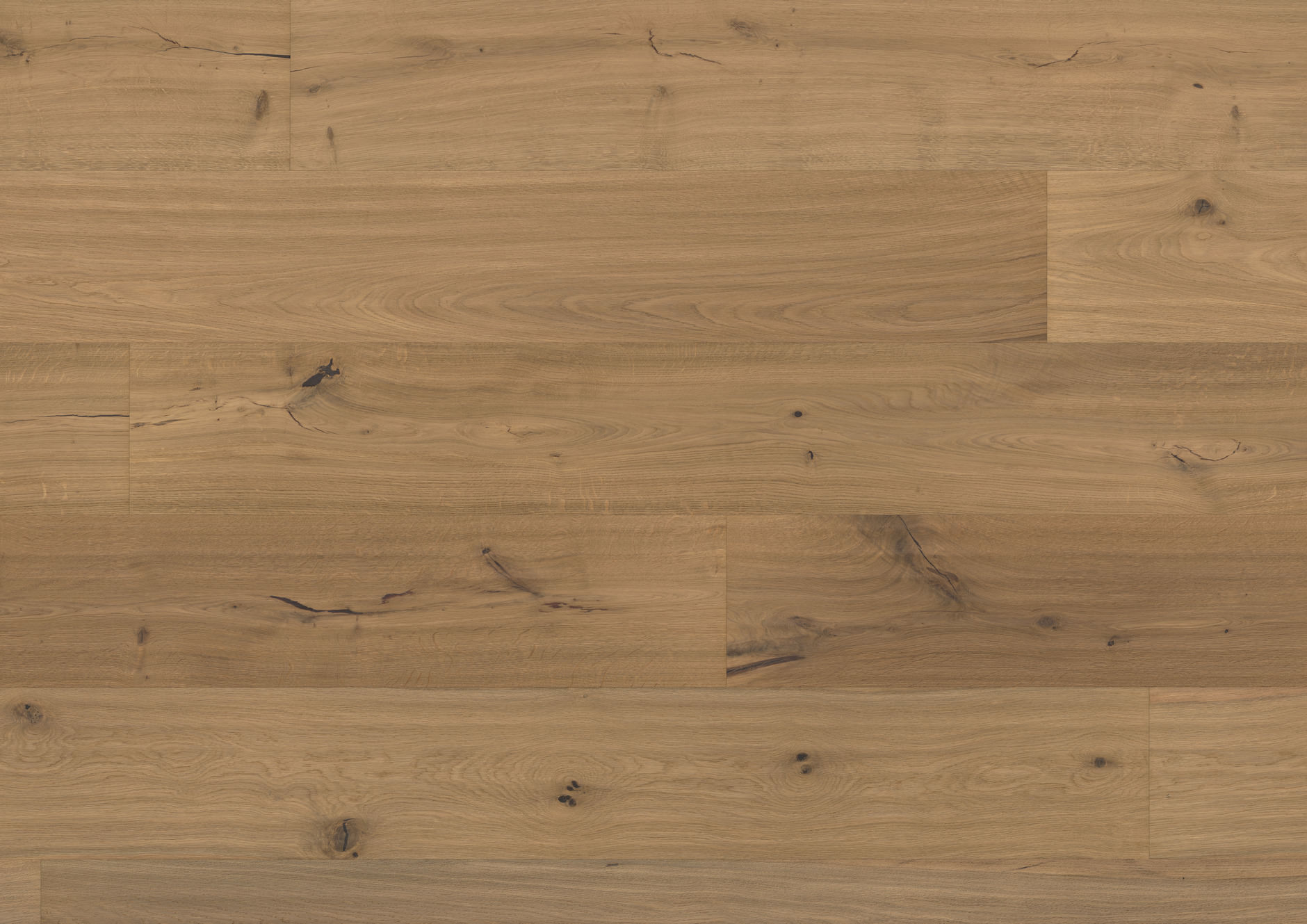 Oak No.21 - Warwick