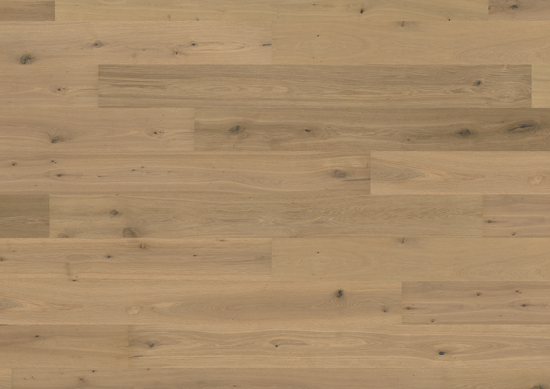 Oak No.26 - Bath