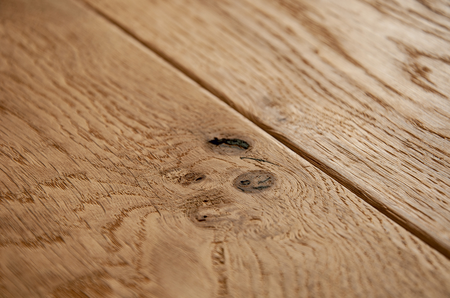 Oak No.11 - Salisbury