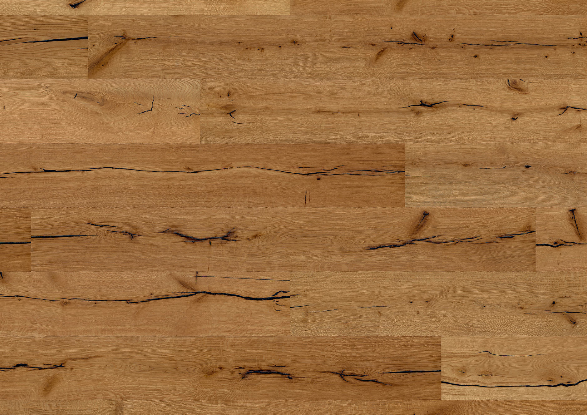 Oak No.35 - Arundel
