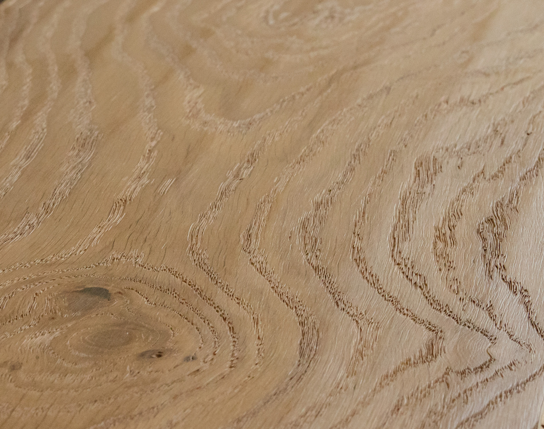 Oak No.21 - Warwick