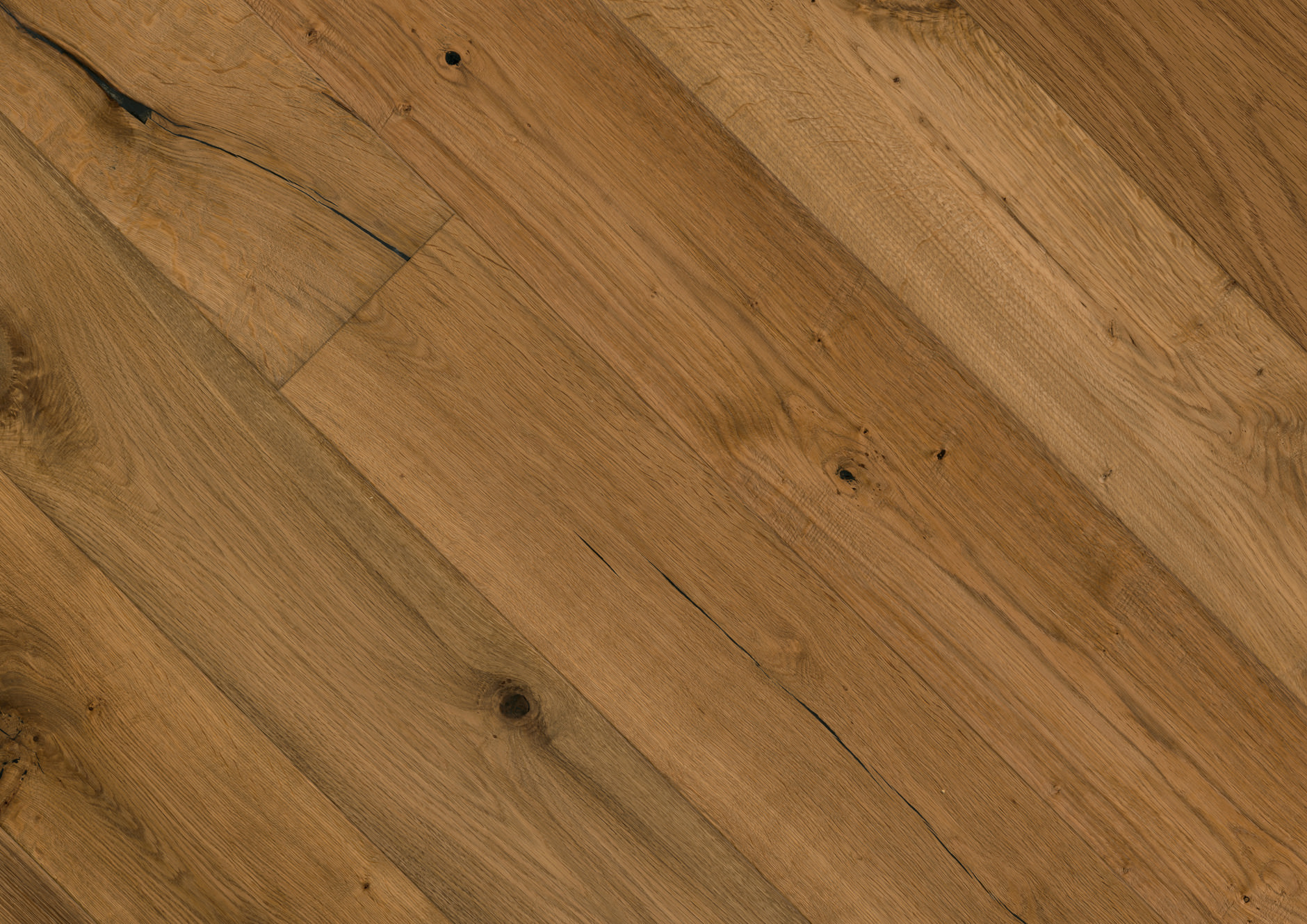 Oak No.13 - Mortimer