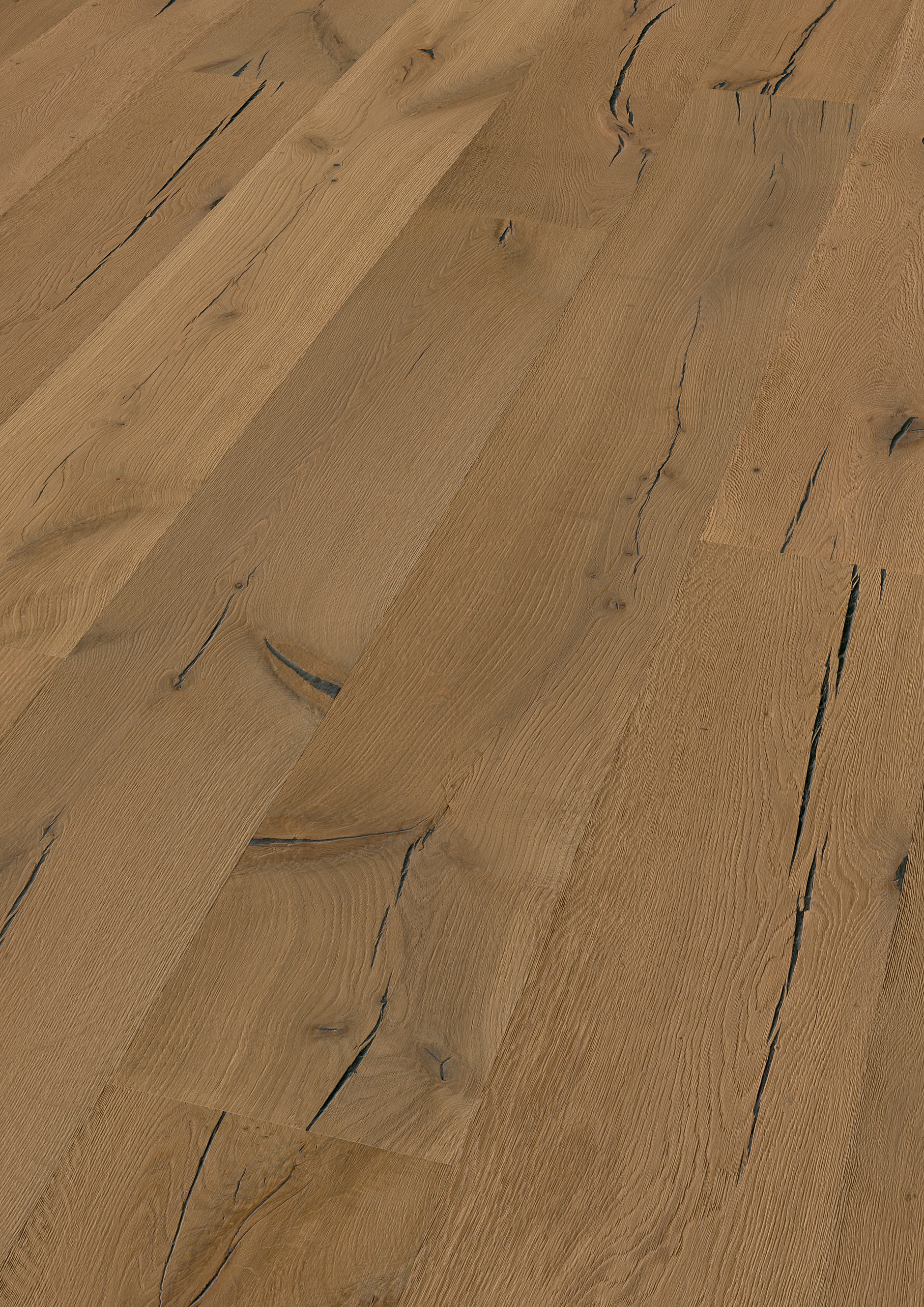 Oak No.34 - Highgrove