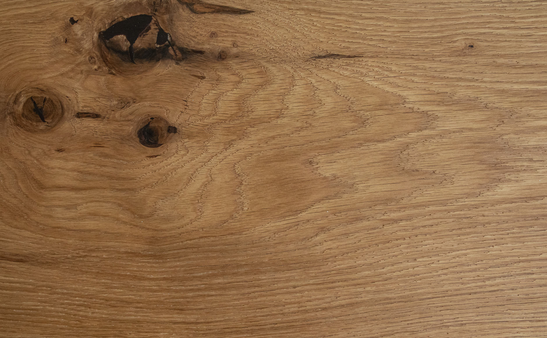 Oak No.15 - Kensington