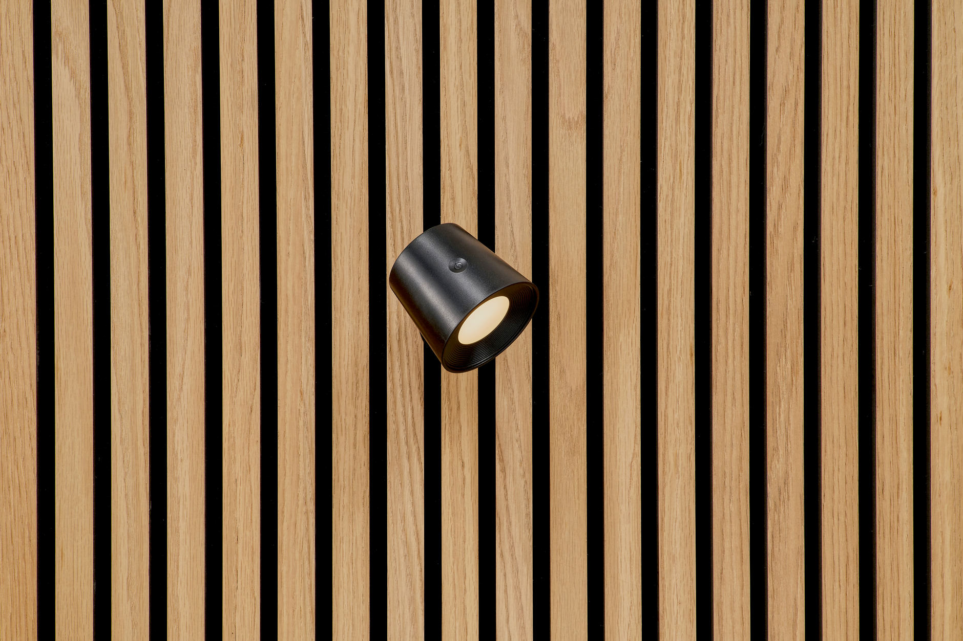 Eirik Spot - Spotlicht
