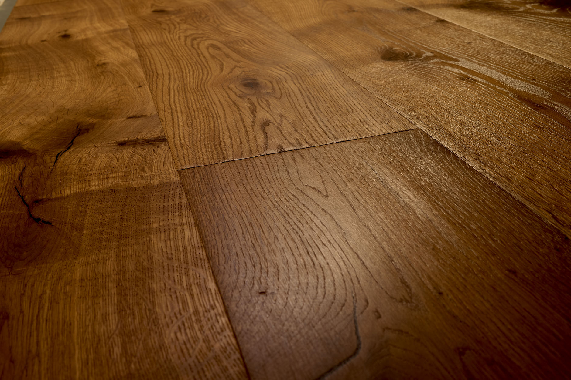 Oak No.29 - Blackdown Hills
