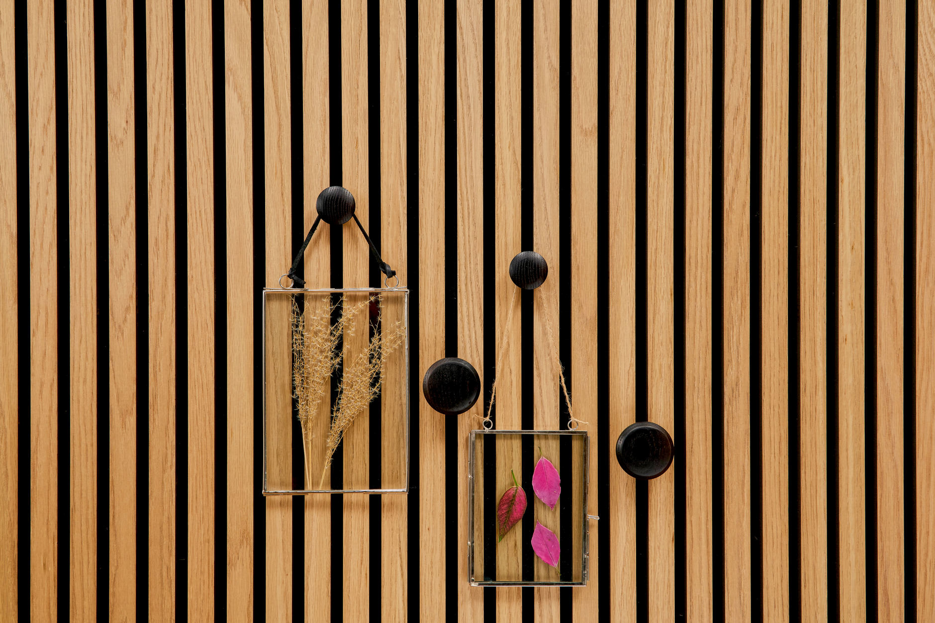Björn - Wooden knob