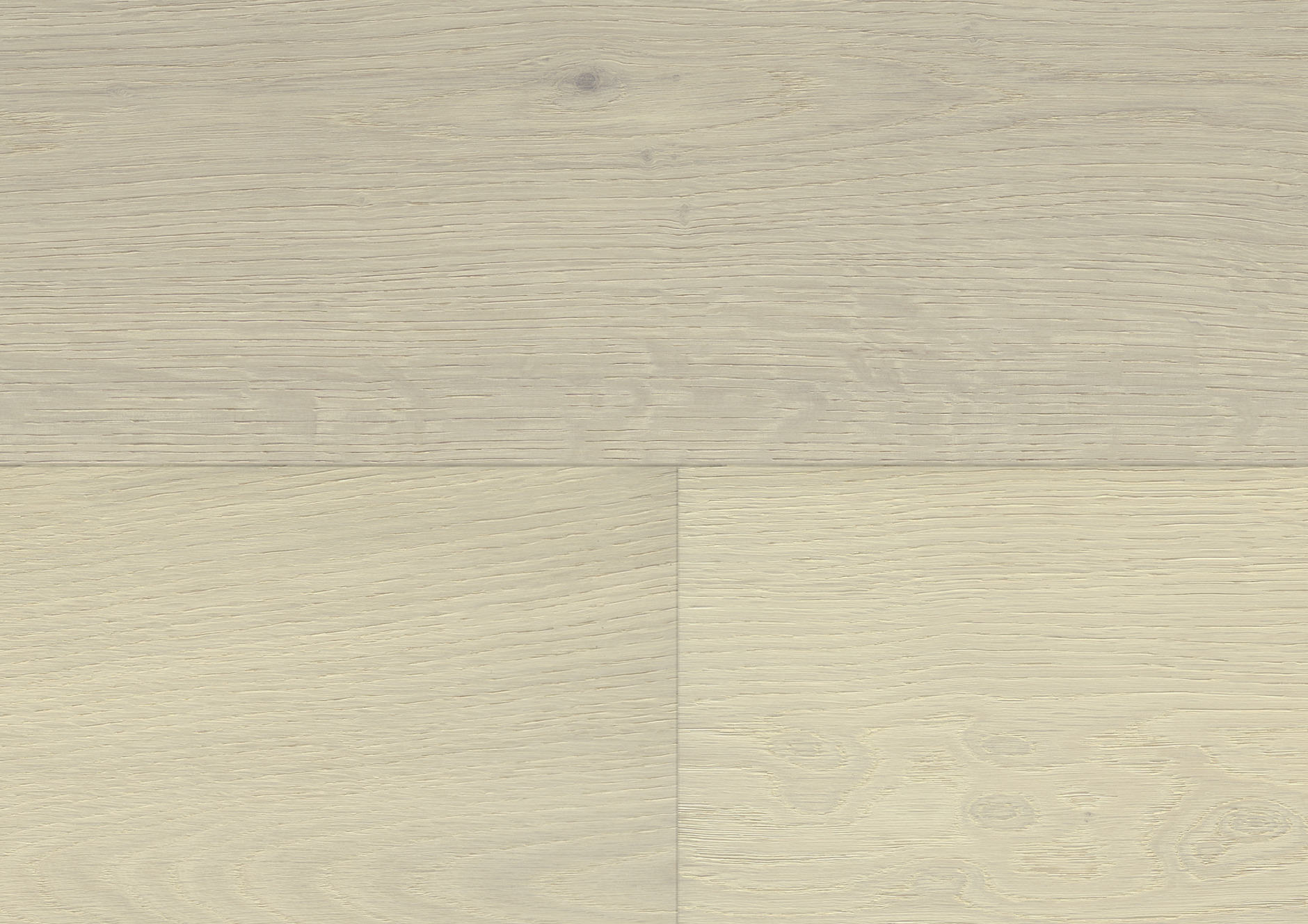 Oak No.27 - Cardiff