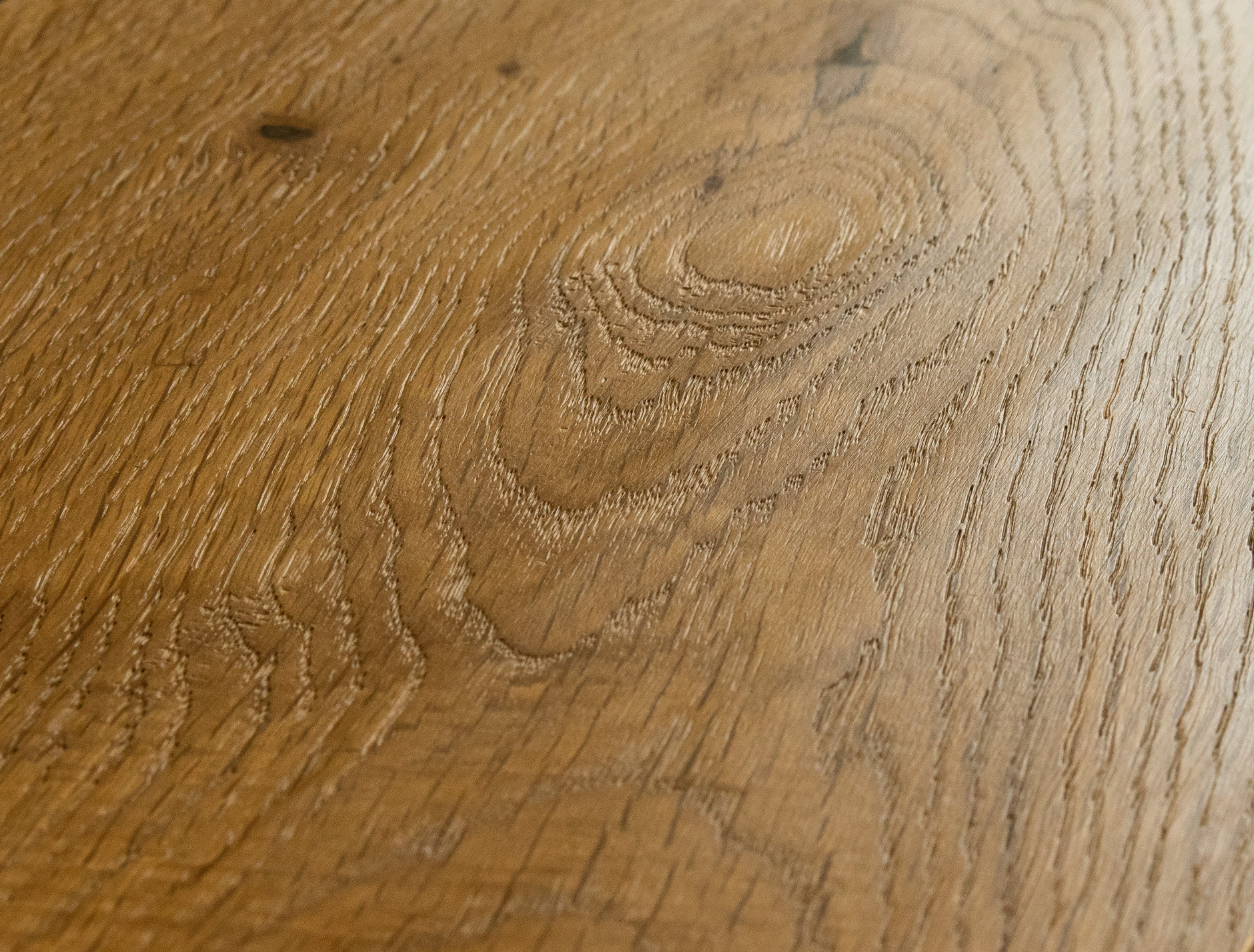 Oak No.17 - Blenheim