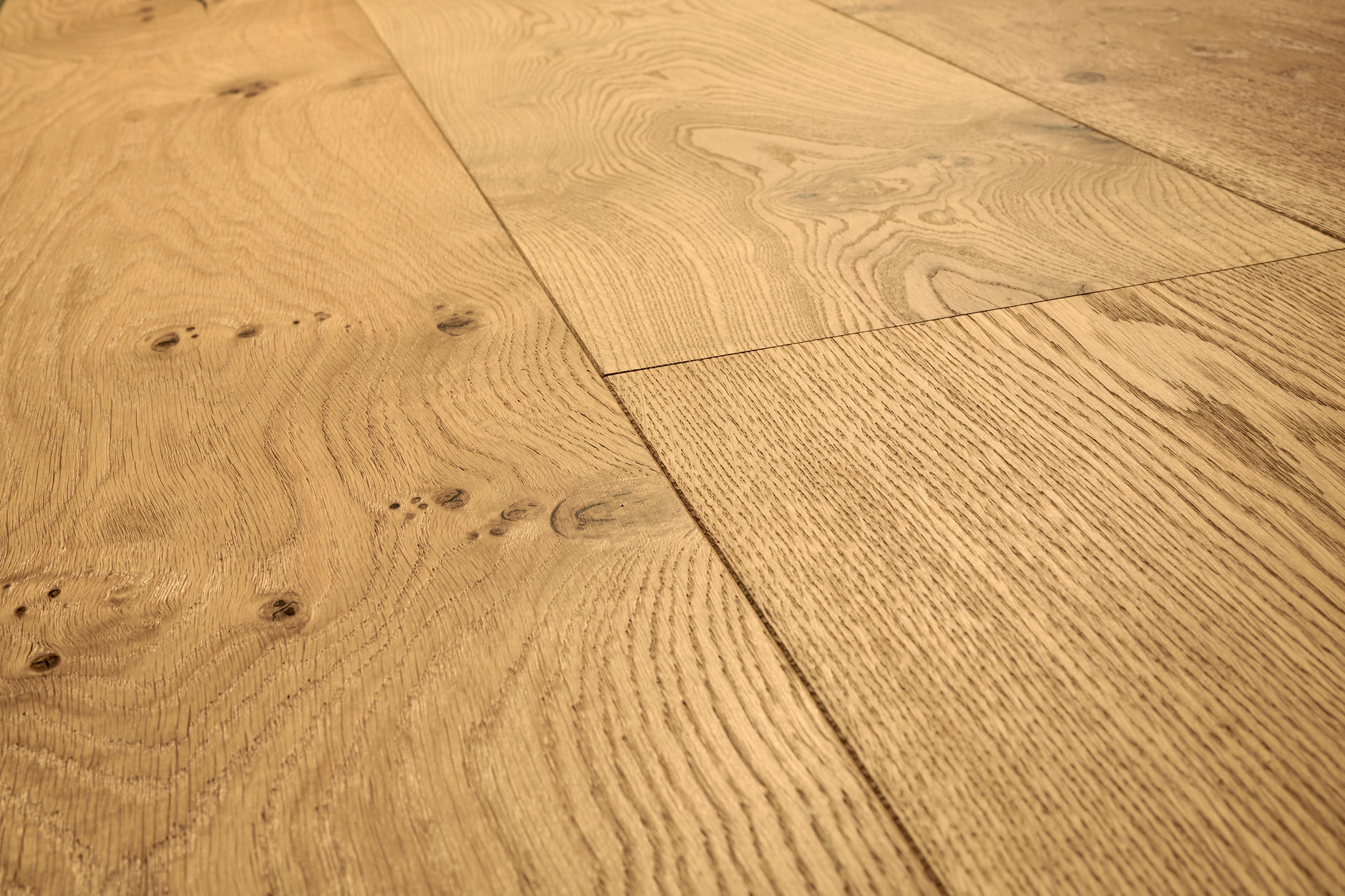 Oak No.33 - Clarence