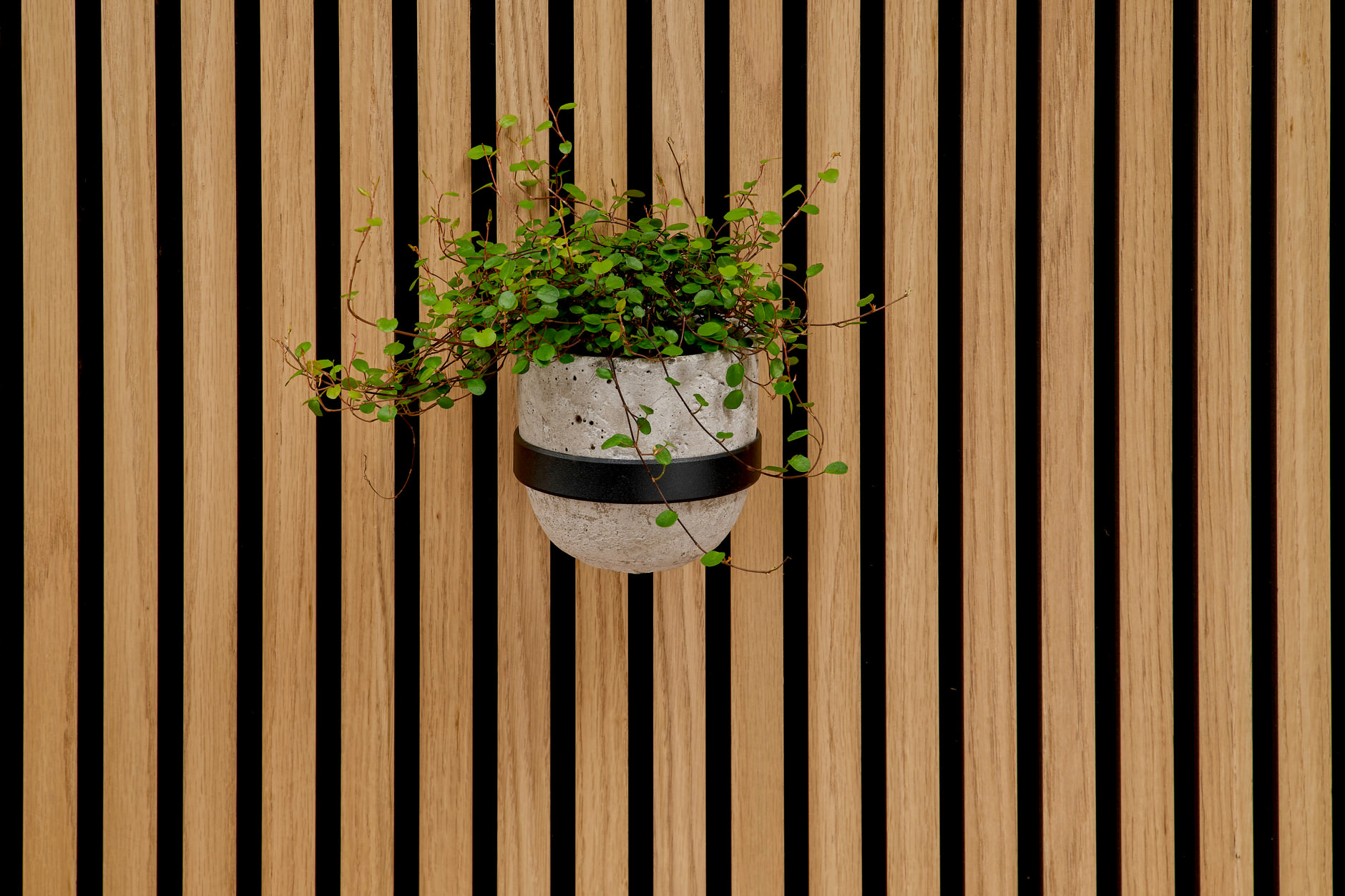 Soeren - Blumentopfring