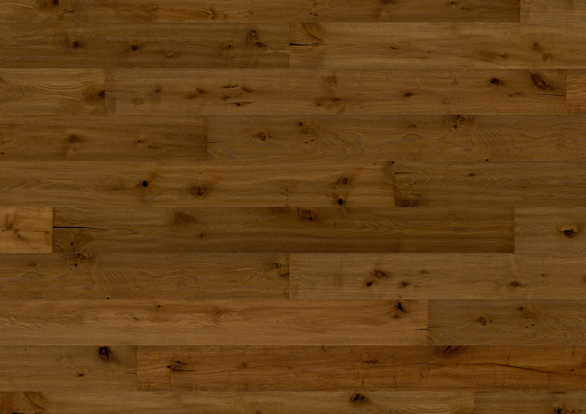 Oak No.29 - Blackdown Hills