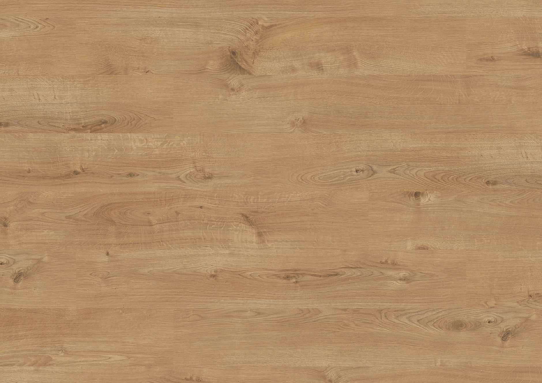 Oak Opera House | 1101021832