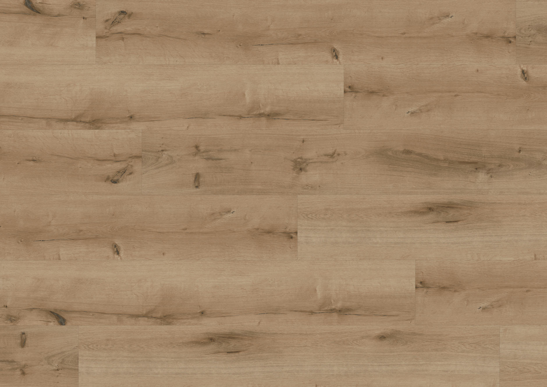 Oak Bilbao | Perform | 1101240021