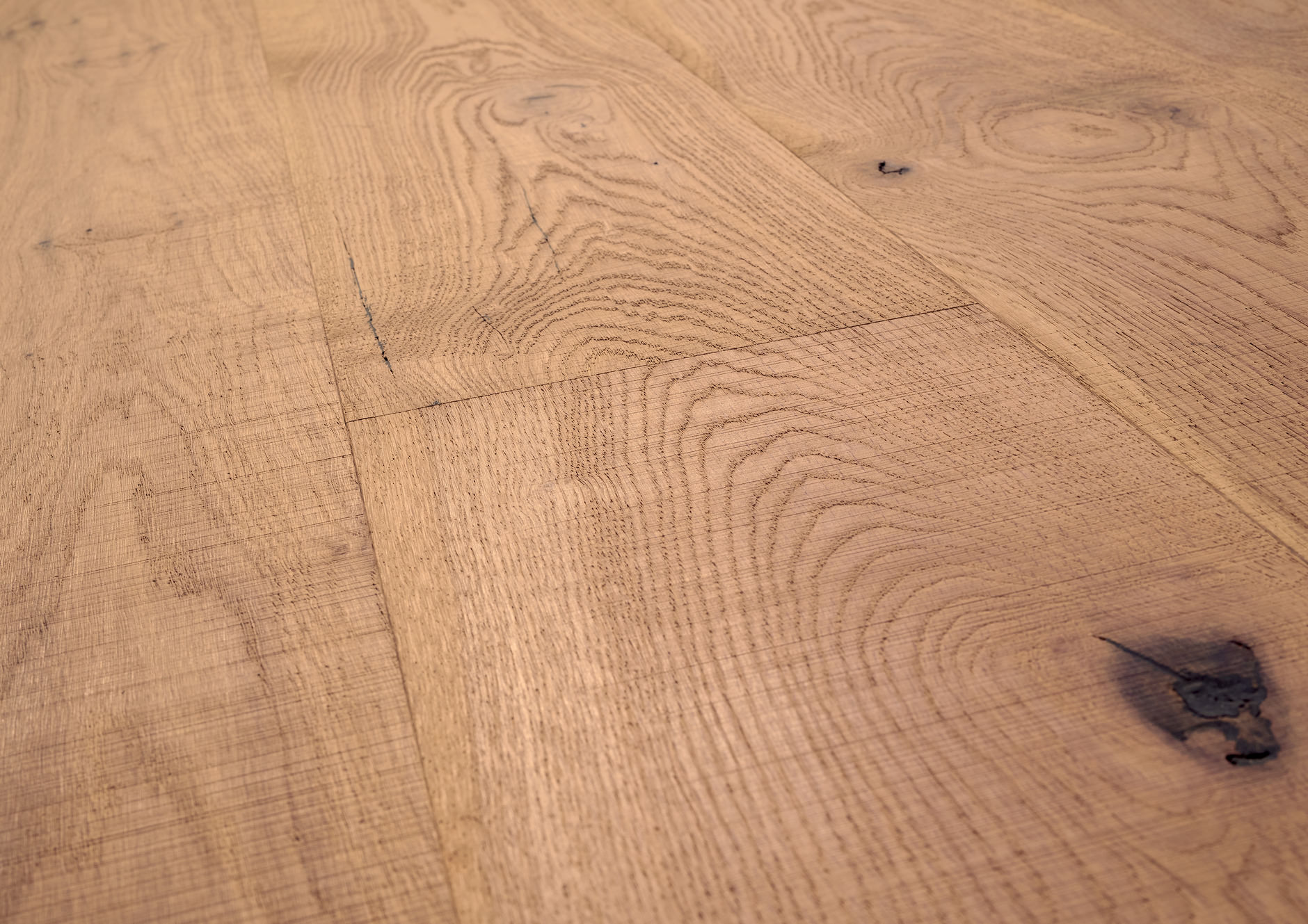 Oak No. 6 - Stirling | 1148010113