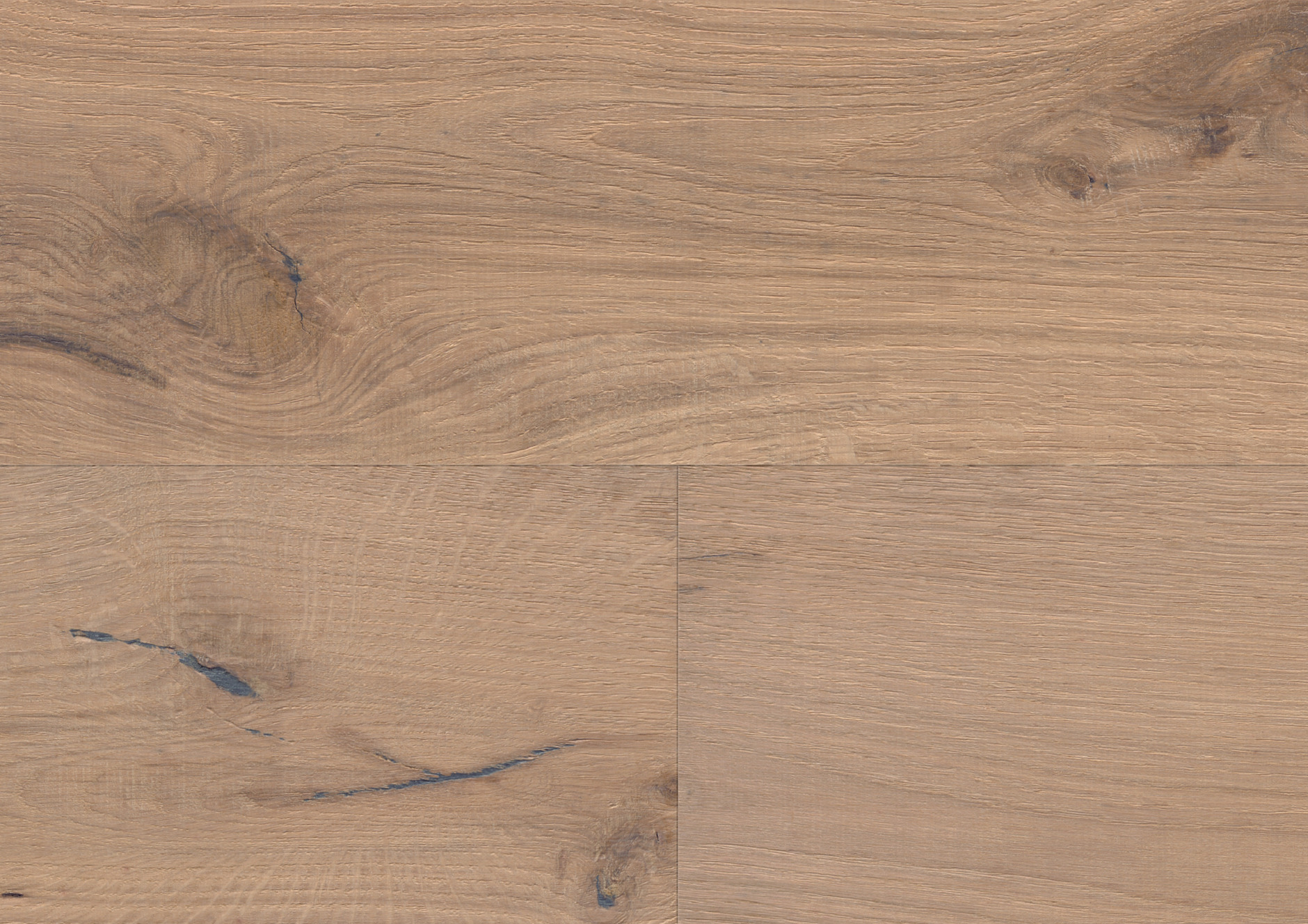 Oak No. 6 - Stirling | 1148010113