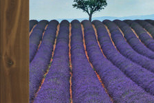 Mood Of Provence Collection Mood Of Provence Collection
