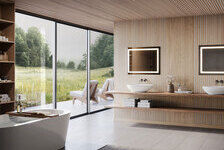 Linear Edition Linear Edition