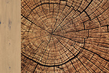 Unique Collection Unique Collection