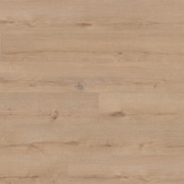 Chêne Lübeck Chêne Lübeck