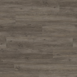 Oak Canberra Oak Canberra