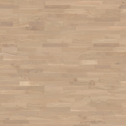 Dąb Champagne Dąb Champagne