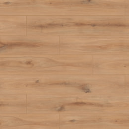 Oak Djerba Oak Djerba