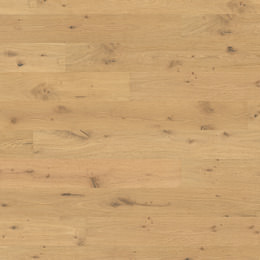 Oak No.32 - South Downs