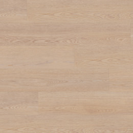 Dąb Berlin Dąb Berlin