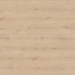 Chêne Capella Chêne Capella