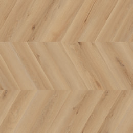 Dąb Rotterdam Dąb Rotterdam