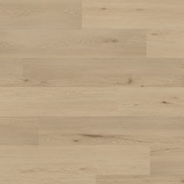 Roble Ámsterdam Roble Ámsterdam