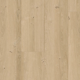 Dąb piaskowy Dąb piaskowy