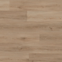 Dąb Budapest Dąb Budapest