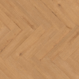 Dąb Hamburg Dąb Hamburg