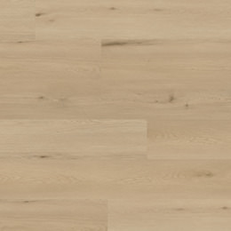 Roble Amsterdam Roble Amsterdam