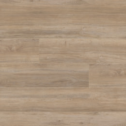 Chêne Candy Shop Chêne Candy Shop