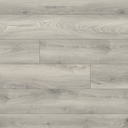 Dąb Vanuatu Dąb Vanuatu